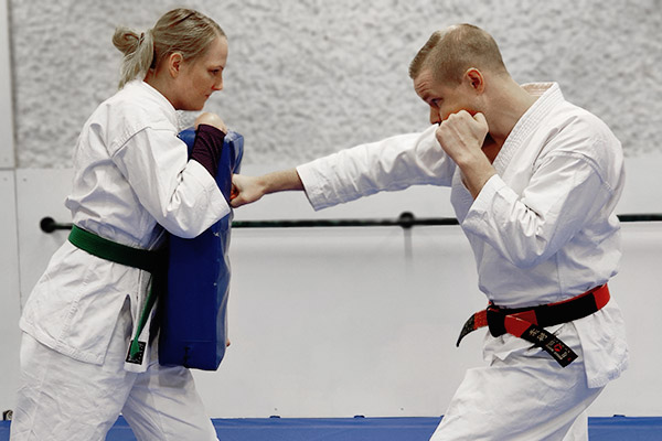 Jujutsu - Hiza geri